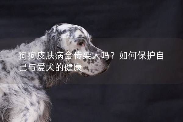 狗狗皮肤病会传染人吗？如何保护自己与爱犬的健康