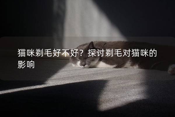 猫咪剃毛好不好？探讨剃毛对猫咪的影响