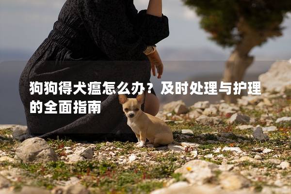 狗狗得犬瘟怎么办？及时处理与护理的全面指南