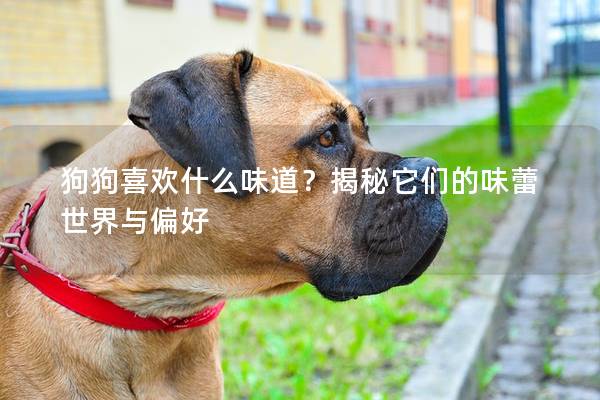 狗狗喜欢什么味道？揭秘它们的味蕾世界与偏好