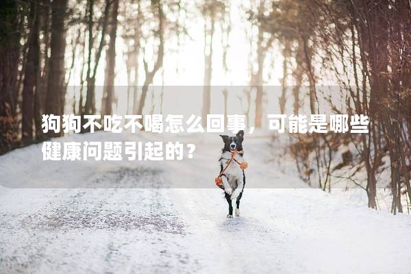 狗狗不吃不喝怎么回事，可能是哪些健康问题引起的？