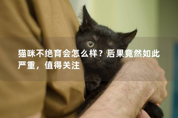 猫咪不绝育会怎么样？后果竟然如此严重，值得关注