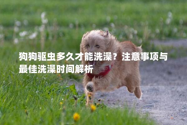 狗狗驱虫多久才能洗澡？注意事项与最佳洗澡时间解析