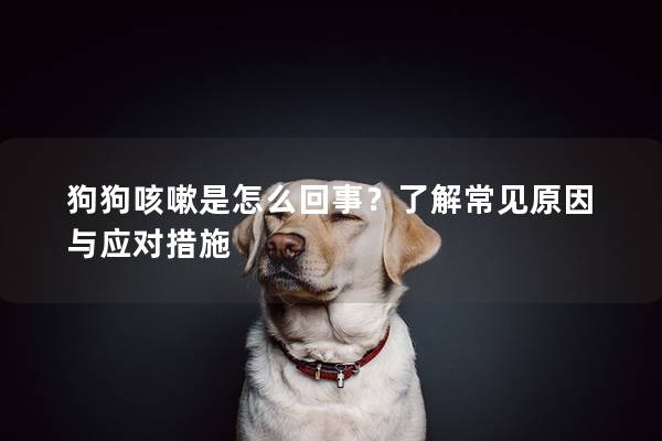 狗狗咳嗽是怎么回事？了解常见原因与应对措施