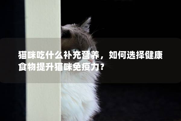 猫咪吃什么补充营养，如何选择健康食物提升猫咪免疫力？