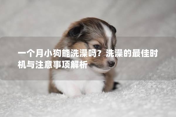 一个月小狗能洗澡吗？洗澡的最佳时机与注意事项解析