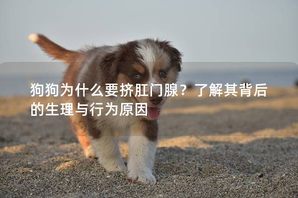 狗狗为什么要挤肛门腺？了解其背后的生理与行为原因