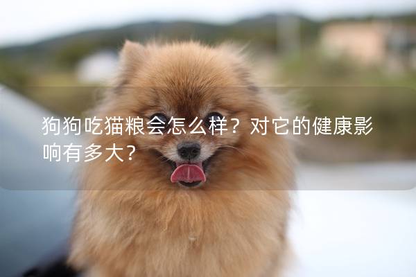 狗狗吃猫粮会怎么样？对它的健康影响有多大？