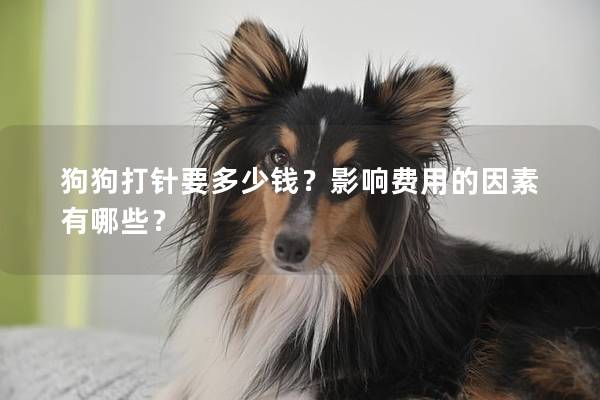 狗狗打针要多少钱？影响费用的因素有哪些？