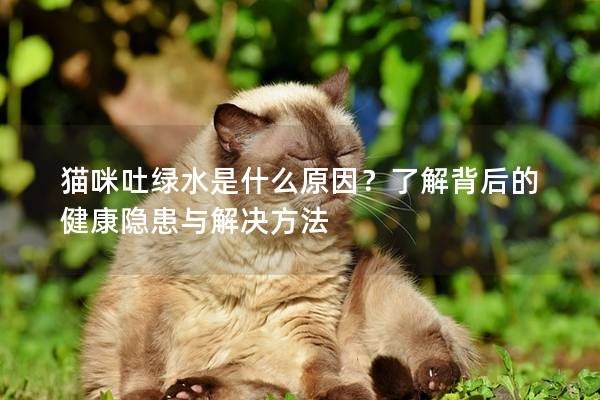 猫咪吐绿水是什么原因？了解背后的健康隐患与解决方法