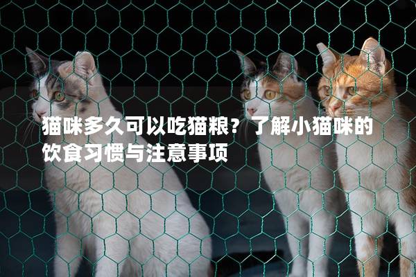 猫咪多久可以吃猫粮？了解小猫咪的饮食习惯与注意事项