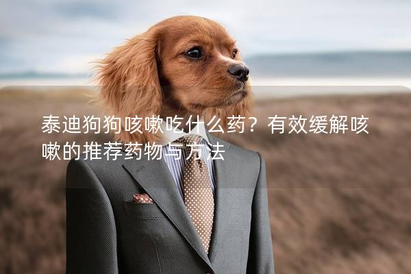 泰迪狗狗咳嗽吃什么药？有效缓解咳嗽的推荐药物与方法