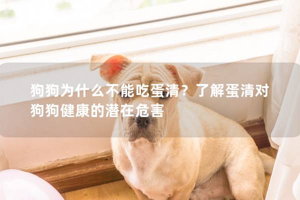 狗狗为什么不能吃蛋清？了解蛋清对狗狗健康的潜在危害