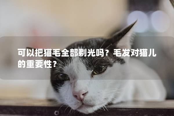 可以把猫毛全部剃光吗？毛发对猫儿的重要性？