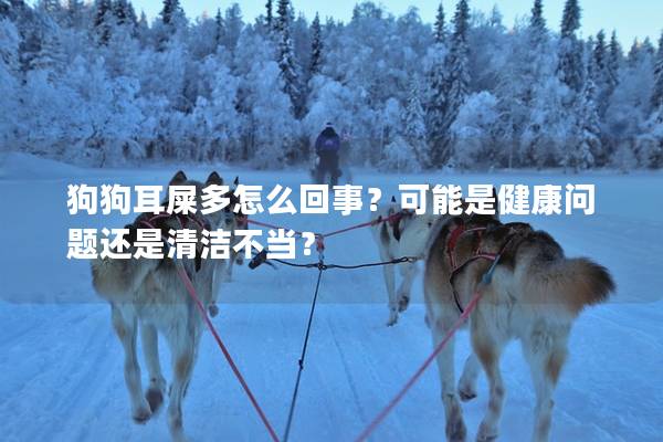 狗狗耳屎多怎么回事？可能是健康问题还是清洁不当？