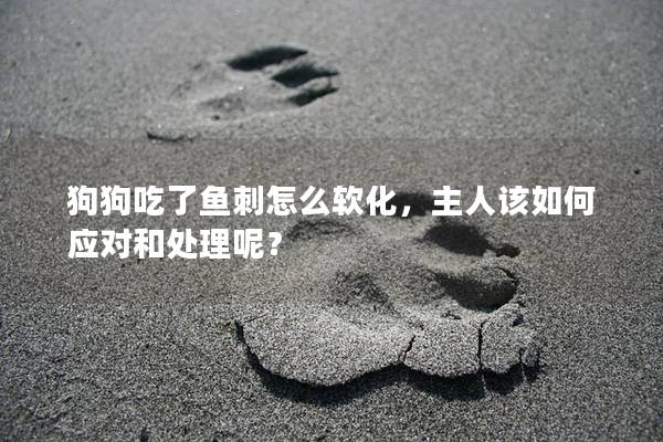 狗狗吃了鱼刺怎么软化，主人该如何应对和处理呢？