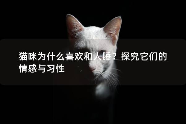 猫咪为什么喜欢和人睡？探究它们的情感与习性