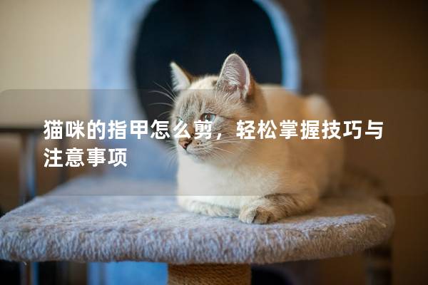 猫咪的指甲怎么剪，轻松掌握技巧与注意事项