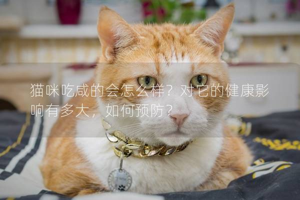 猫咪吃咸的会怎么样？对它的健康影响有多大，如何预防？