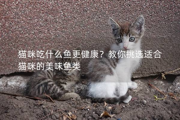 猫咪吃什么鱼更健康？教你挑选适合猫咪的美味鱼类