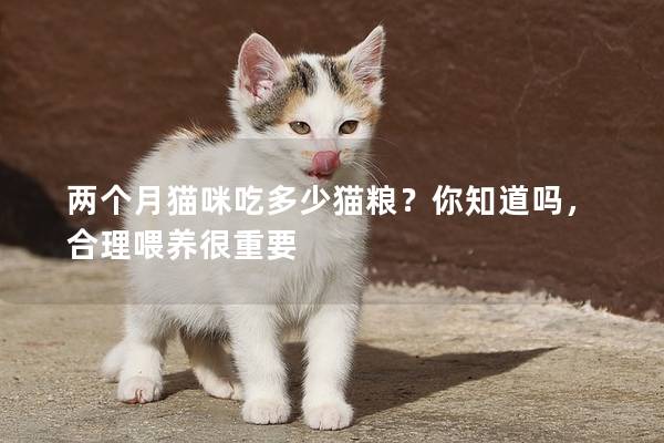 两个月猫咪吃多少猫粮？你知道吗，合理喂养很重要