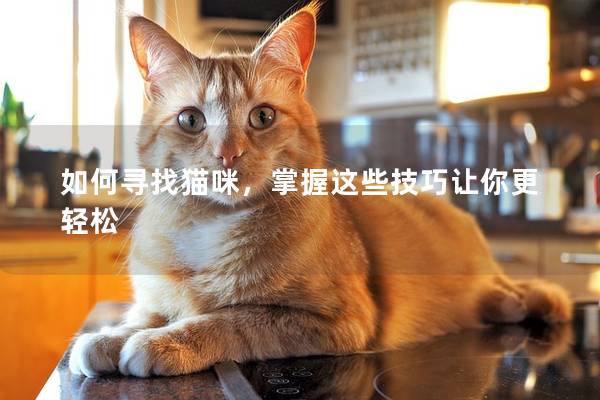 如何寻找猫咪，掌握这些技巧让你更轻松