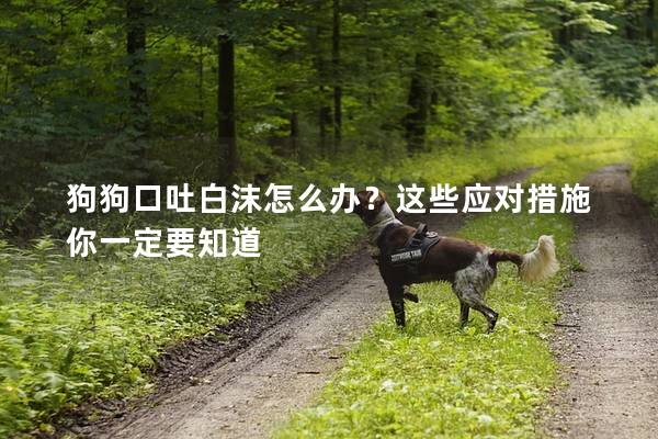 狗狗口吐白沫怎么办？这些应对措施你一定要知道