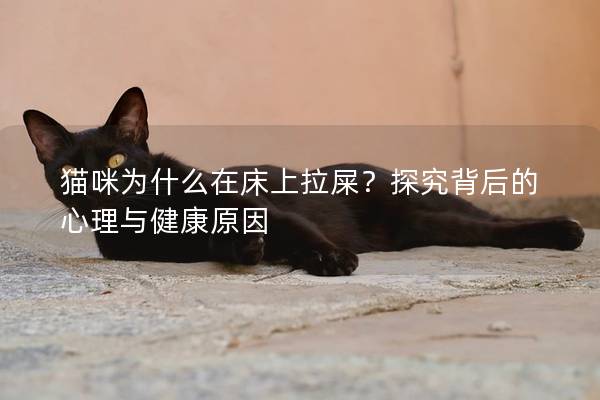 猫咪为什么在床上拉屎？探究背后的心理与健康原因