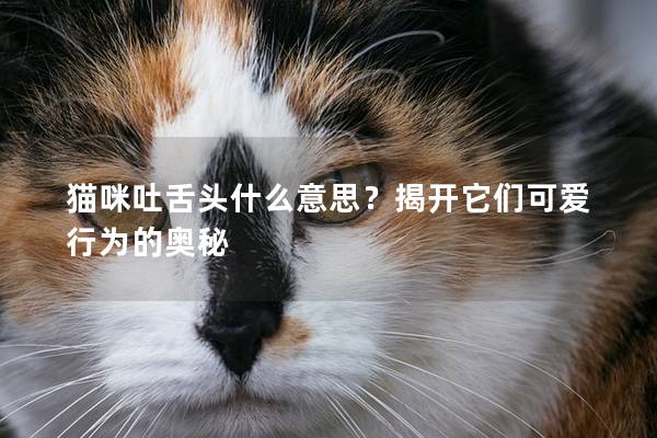 猫咪吐舌头什么意思？揭开它们可爱行为的奥秘