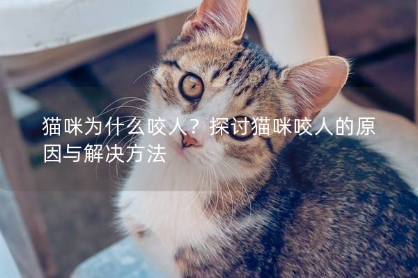 猫咪为什么咬人？探讨猫咪咬人的原因与解决方法