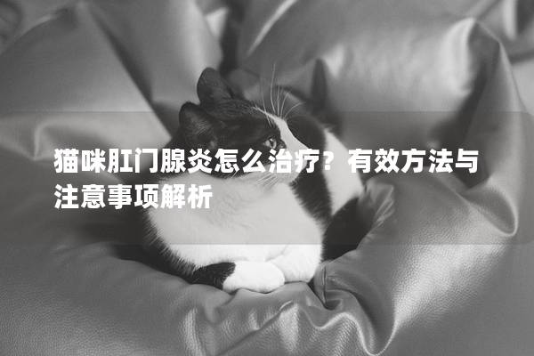 猫咪肛门腺炎怎么治疗？有效方法与注意事项解析