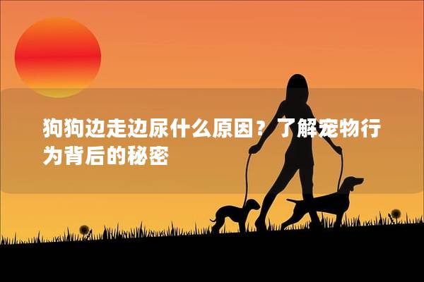 狗狗边走边尿什么原因？了解宠物行为背后的秘密