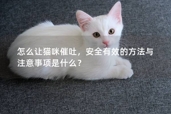 怎么让猫咪催吐，安全有效的方法与注意事项是什么？