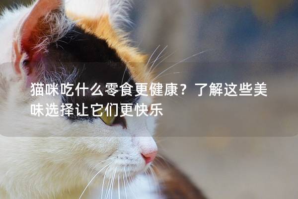 猫咪吃什么零食更健康？了解这些美味选择让它们更快乐