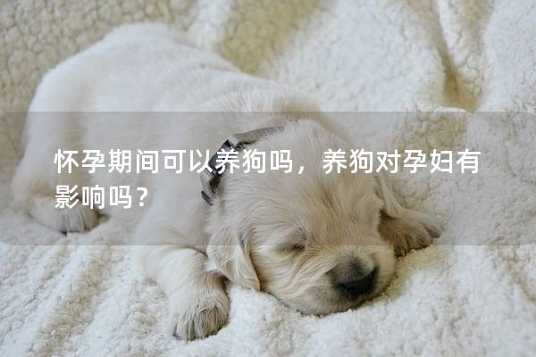 怀孕期间可以养狗吗，养狗对孕妇有影响吗？