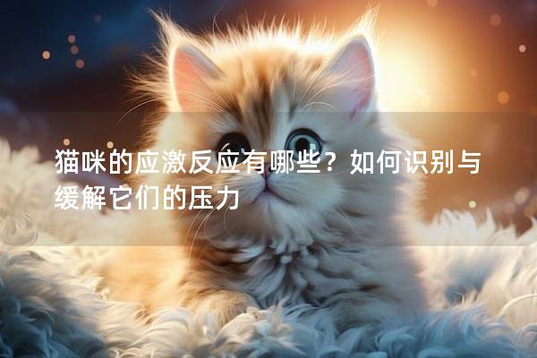 猫咪的应激反应有哪些？如何识别与缓解它们的压力