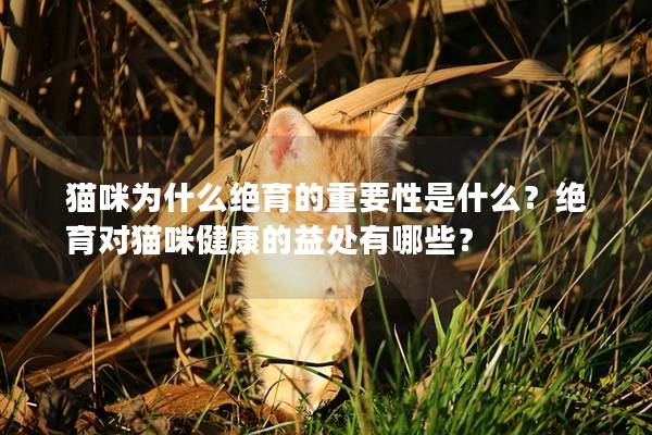 猫咪为什么绝育的重要性是什么？绝育对猫咪健康的益处有哪些？