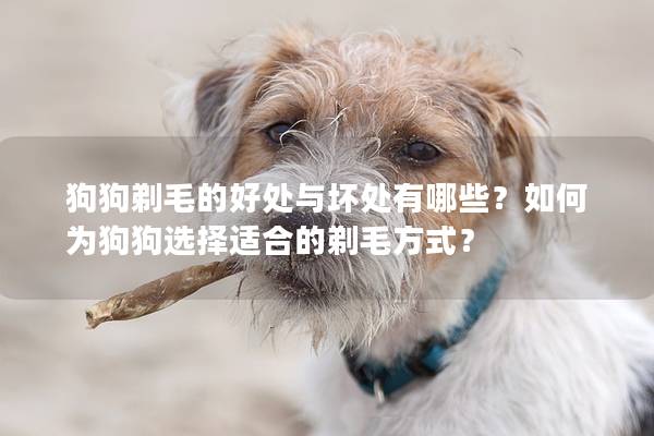 狗狗剃毛的好处与坏处有哪些？如何为狗狗选择适合的剃毛方式？