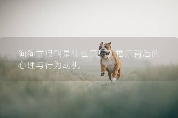 狗狗学狼叫是什么意思？揭示背后的心理与行为动机