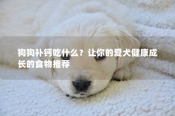 狗狗补钙吃什么？让你的爱犬健康成长的食物推荐