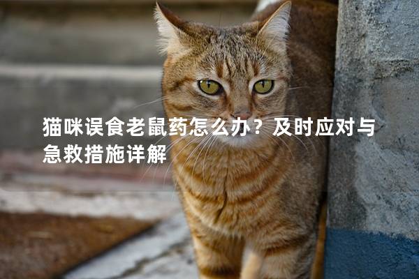 猫咪误食老鼠药怎么办？及时应对与急救措施详解