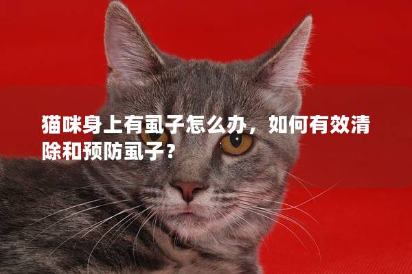 猫咪身上有虱子怎么办，如何有效清除和预防虱子？