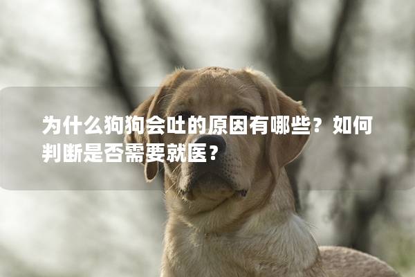 为什么狗狗会吐的原因有哪些？如何判断是否需要就医？