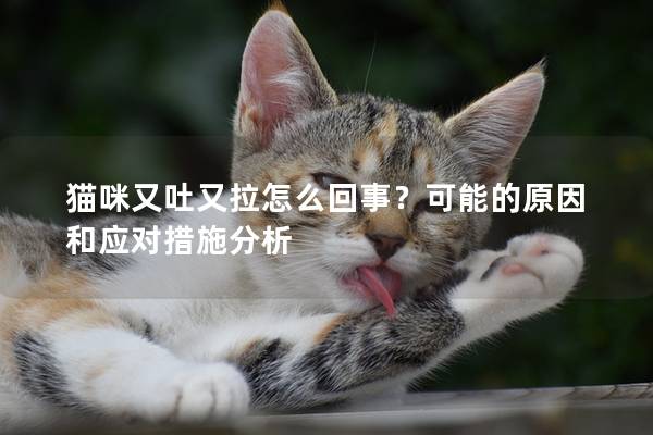 猫咪又吐又拉怎么回事？可能的原因和应对措施分析