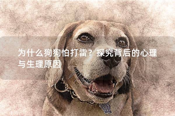 为什么狗狗怕打雷？探究背后的心理与生理原因