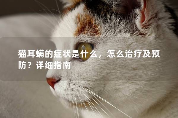 猫耳螨的症状是什么，怎么治疗及预防？详细指南