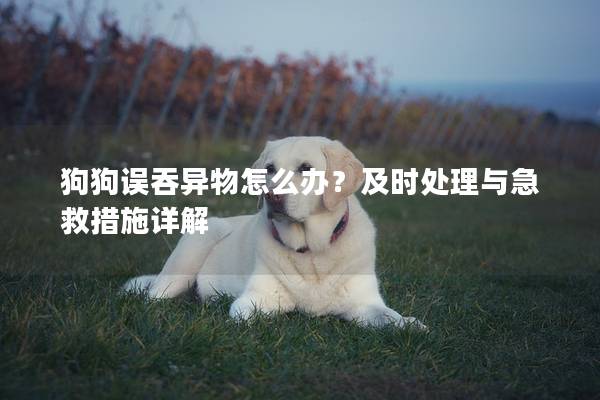 狗狗误吞异物怎么办？及时处理与急救措施详解