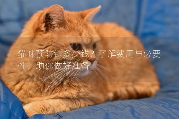 猫咪预防针多少钱？了解费用与必要性，助你做好准备