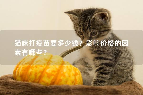 猫咪打疫苗要多少钱？影响价格的因素有哪些？