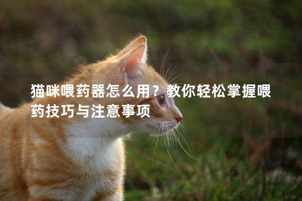 猫咪喂药器怎么用？教你轻松掌握喂药技巧与注意事项